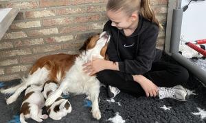 puppy knuffelen